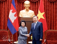 Top Vietnamese leader receives Cambodian N.A. President